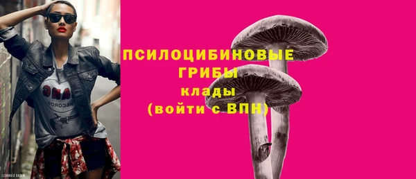 ГАЛЛЮЦИНОГЕННЫЕ ГРИБЫ Гусь-Хрустальный