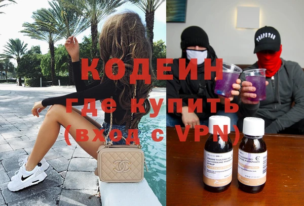 ГАЛЛЮЦИНОГЕННЫЕ ГРИБЫ Гусь-Хрустальный