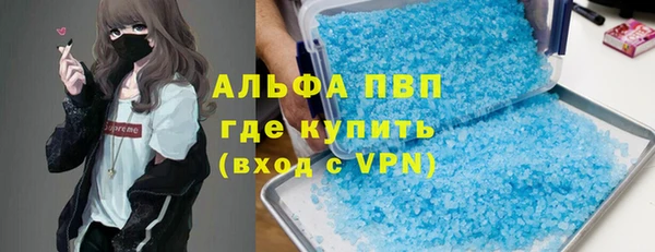 спайс Гусев