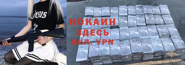 спайс Гусев