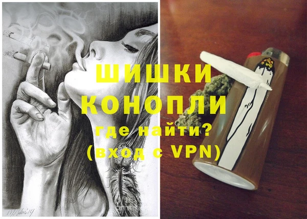 ГАЛЛЮЦИНОГЕННЫЕ ГРИБЫ Гусь-Хрустальный
